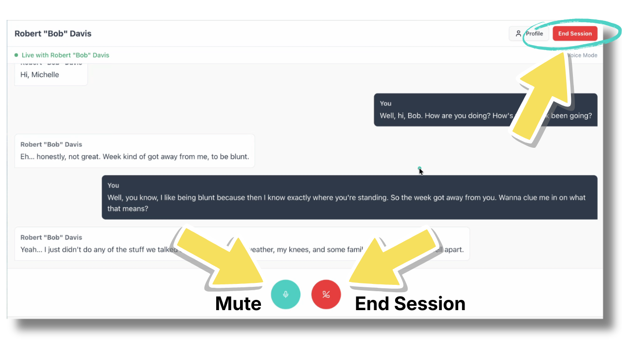 Session Controls During a Live Conversation